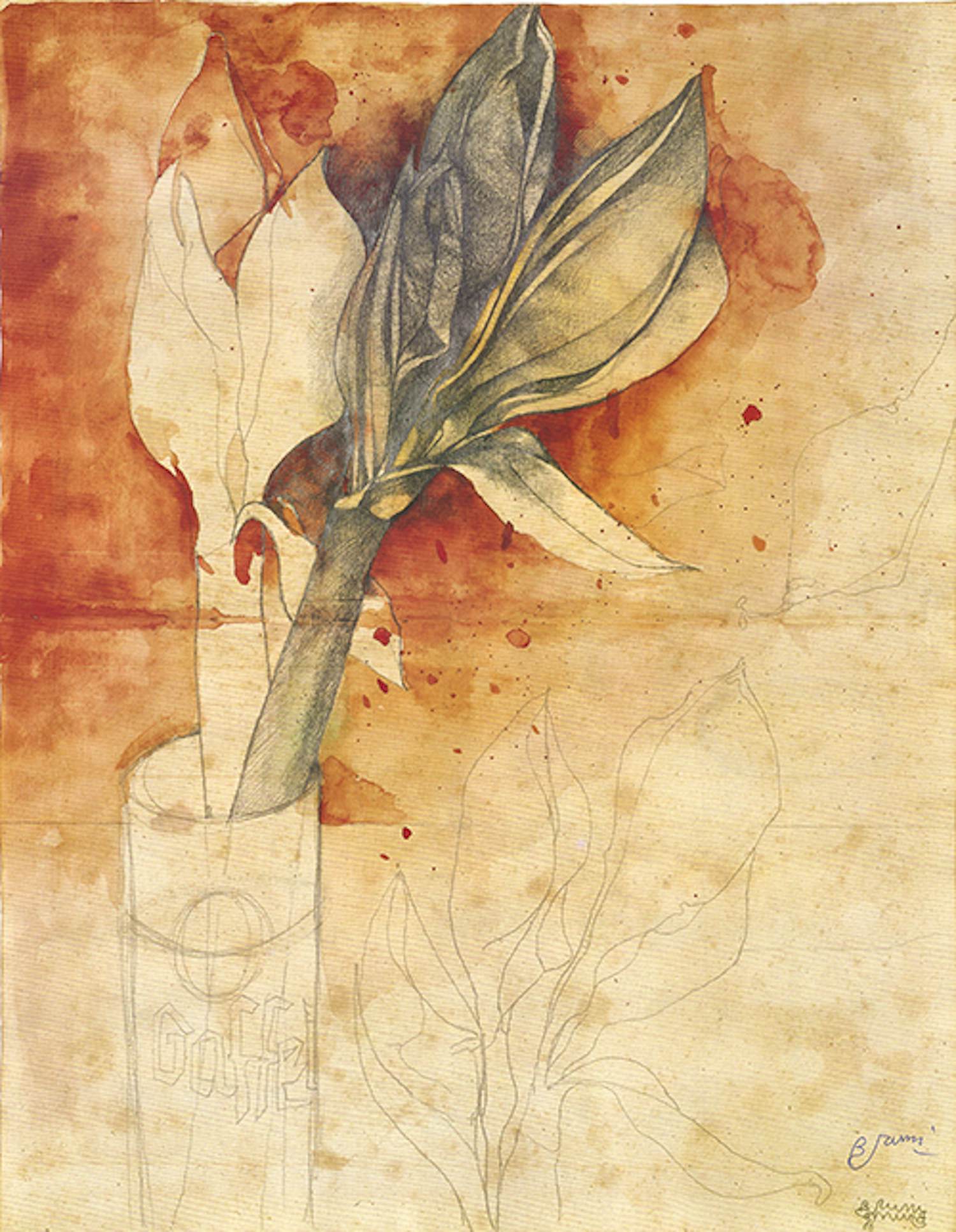 Bruno Bruni - Kleurenoffset-litho AMARYLLIS Handgesigneerd kopen? Bied vanaf 45!