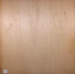 Pim Lenos - Olieverf op paneel, zonder titel (Groot formaat!) kopen? Bied vanaf 1!