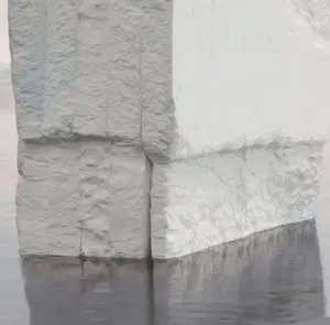 Mr Strange - Op en neer op de Noordpool kopen? Bied vanaf 85!