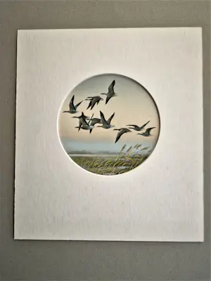 Ari Stolk - Fraaie realistische gouache - "wilde eenden bij zomeravond" - gesigneerd - 1983 kopen? Bied vanaf 78!