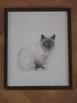 Niet of onleesbaar gesigneerd - Zittende kat - Gemengde techniek kopen? Bied vanaf 1!