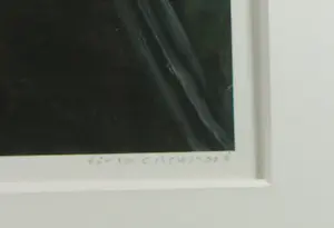 Frans Franciscus - Piezo print, Adam & Eve lll - Ingelijst kopen? Bied vanaf 50!