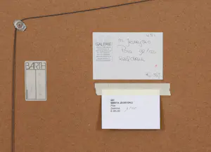 Marta Jedrysko - Pola kopen? Bied vanaf 50!