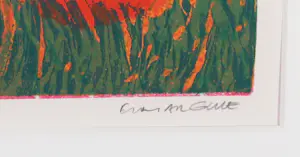 Elmar Gille - Zeefdruk, Klaproos (tweeluik) - Ingelijst kopen? Bied vanaf 60!