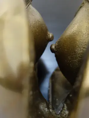 Jana Paroubek - "Breasts" in brons. kopen? Bied vanaf 750!