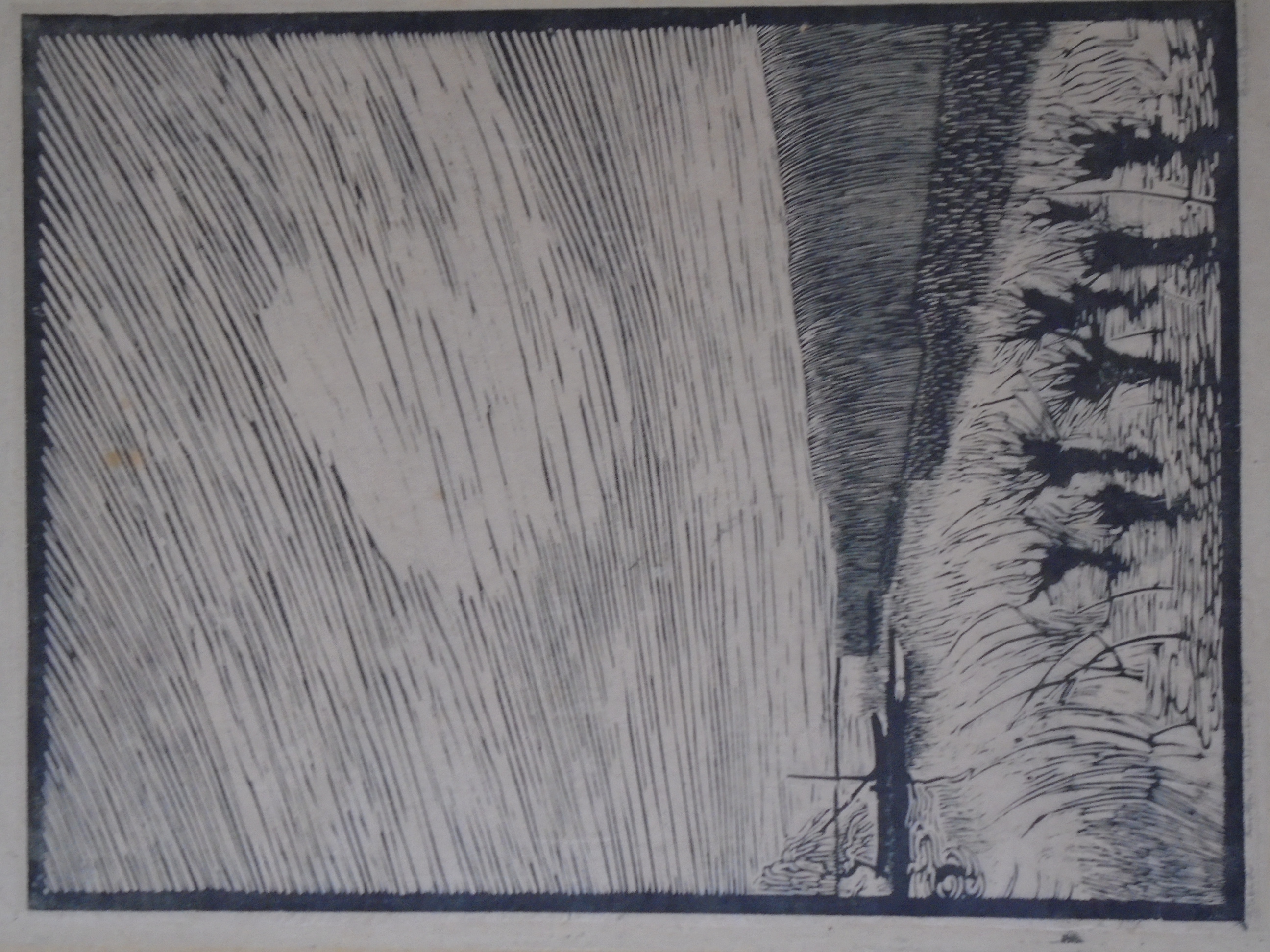 Hans Beers - Griend kopen? Bied vanaf 25!