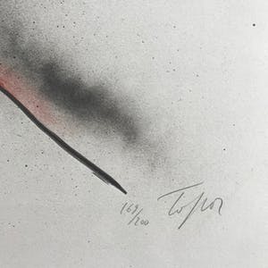 Roland Topor - Zeefdruk - Gesigneerd - 169/200 kopen? Bied vanaf 85!