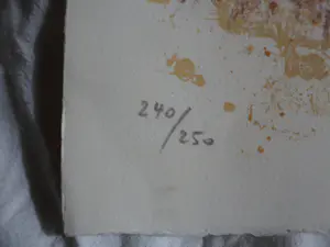 Theo Tobiasse - Litho. LUMIERE POUR . kopen? Bied vanaf 120!