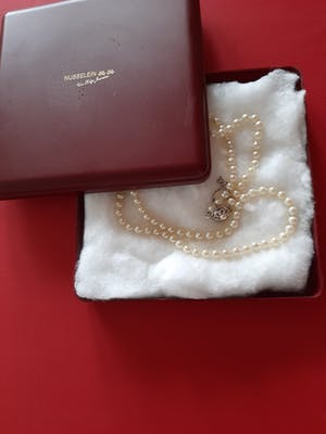 Curiosa - 50 mm echte parels met zilveren sluiting - Collier kopen? Bied vanaf 1!