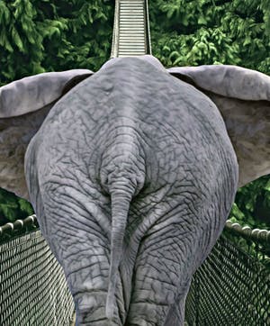 Mr. Strange - Passage du Pont Jane kopen? Bied vanaf 35!