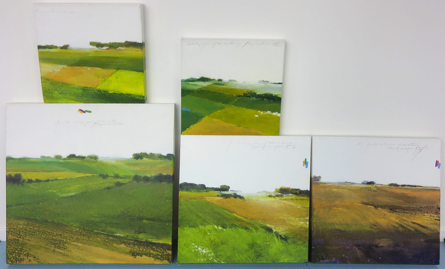 Martin R. Baeyens - Acryl op doek, Lot van vijf schilderijen 'Regeneration' verkocht voor € 100!