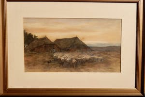 Willem Steelink (jr.) - schaapskudde naar de schaapskooi kopen? Bied vanaf 200!