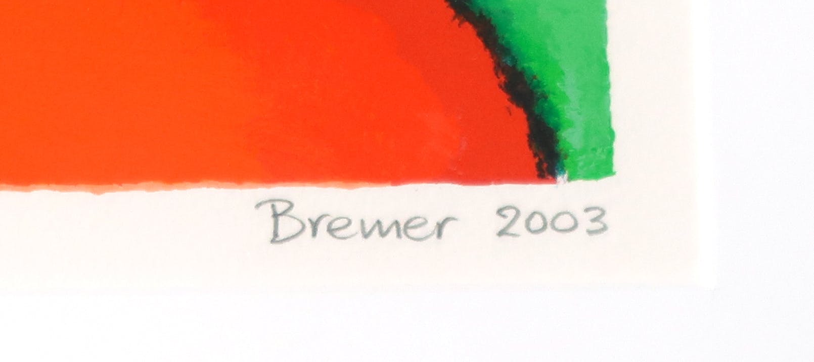 Saskia Bremer - Zeefdruk, Boa Vista (groot) kopen? Bied vanaf 1!