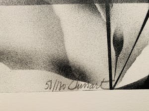 Gislain Dussart - Tulips kopen? Bied vanaf 15!