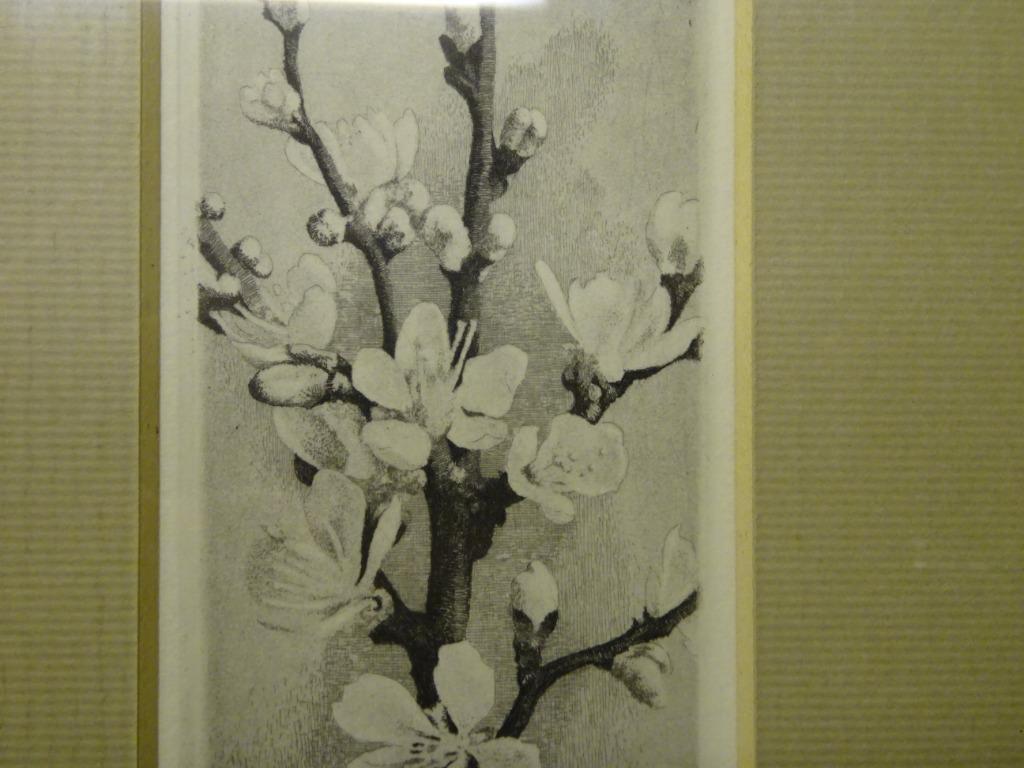 Maarten Langbroek - Amandelbloesem kopen? Bied vanaf 1!