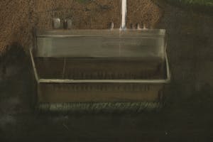 Peter Kantelberg - Olieverf op doek, Zonaanbidder - Ingelijst kopen? Bied vanaf 1!