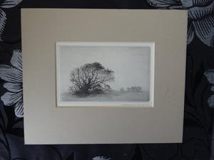 Maarten Langbroek - Boom in de duinen kopen? Bied vanaf 1!