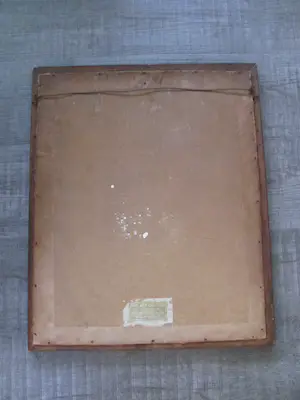 Johannes Graadt van Roggen - oude huizen in Dordrecht kopen? Bied vanaf 60!