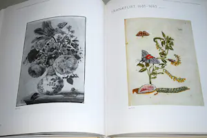 Maria Sybilla Merian - 2 boeken, 2 gravures (19e Eeuw) kopen? Bied vanaf 75!