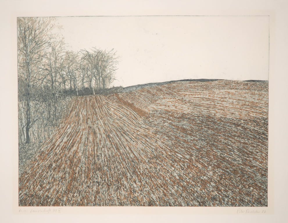 Peter Redeker - Peter Redeker: Ets, Landschaft 77 IV kopen? Bied vanaf 20!