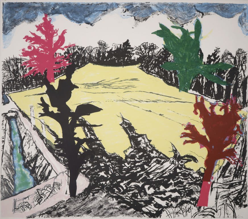 Hans Ebeling Koning - Hans Ebeling Koning: Litho, Z.T.  kopen? Bied vanaf 1!