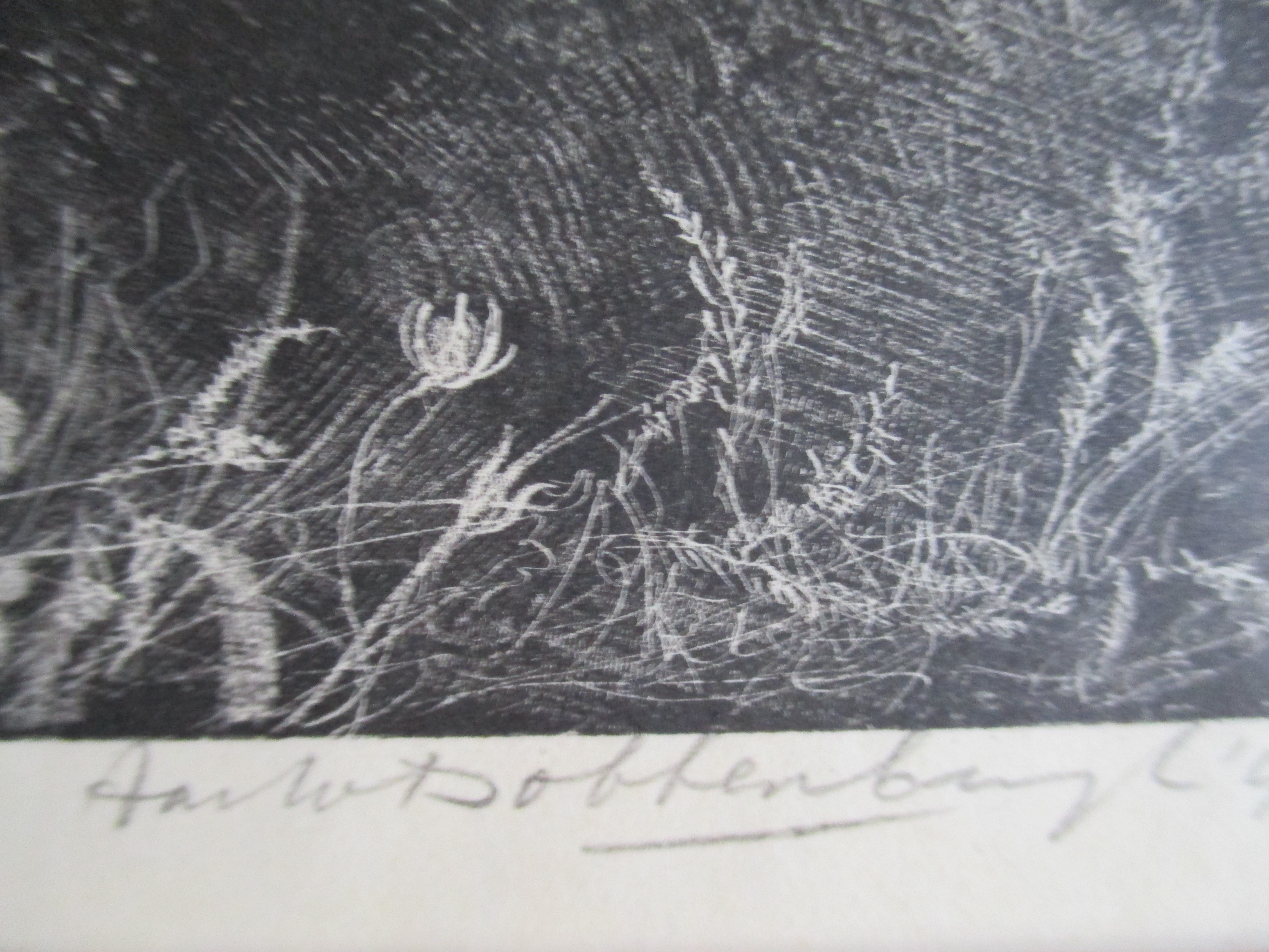 Aart van Dobbenburgh - Litho kopen? Bied vanaf 30!