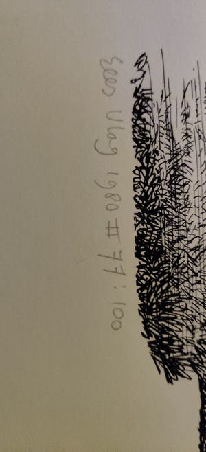 Sees Vlag - Krimpenerwaard kopen? Bied vanaf 10!