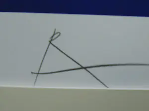 Rob Scholte - Copyright kopen? Bied vanaf 185!