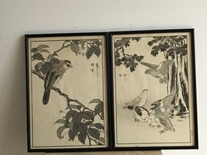 Niet of onleesbaar gesigneerd - Twee Chinese schilderijen met vogels kopen? Bied vanaf 10!