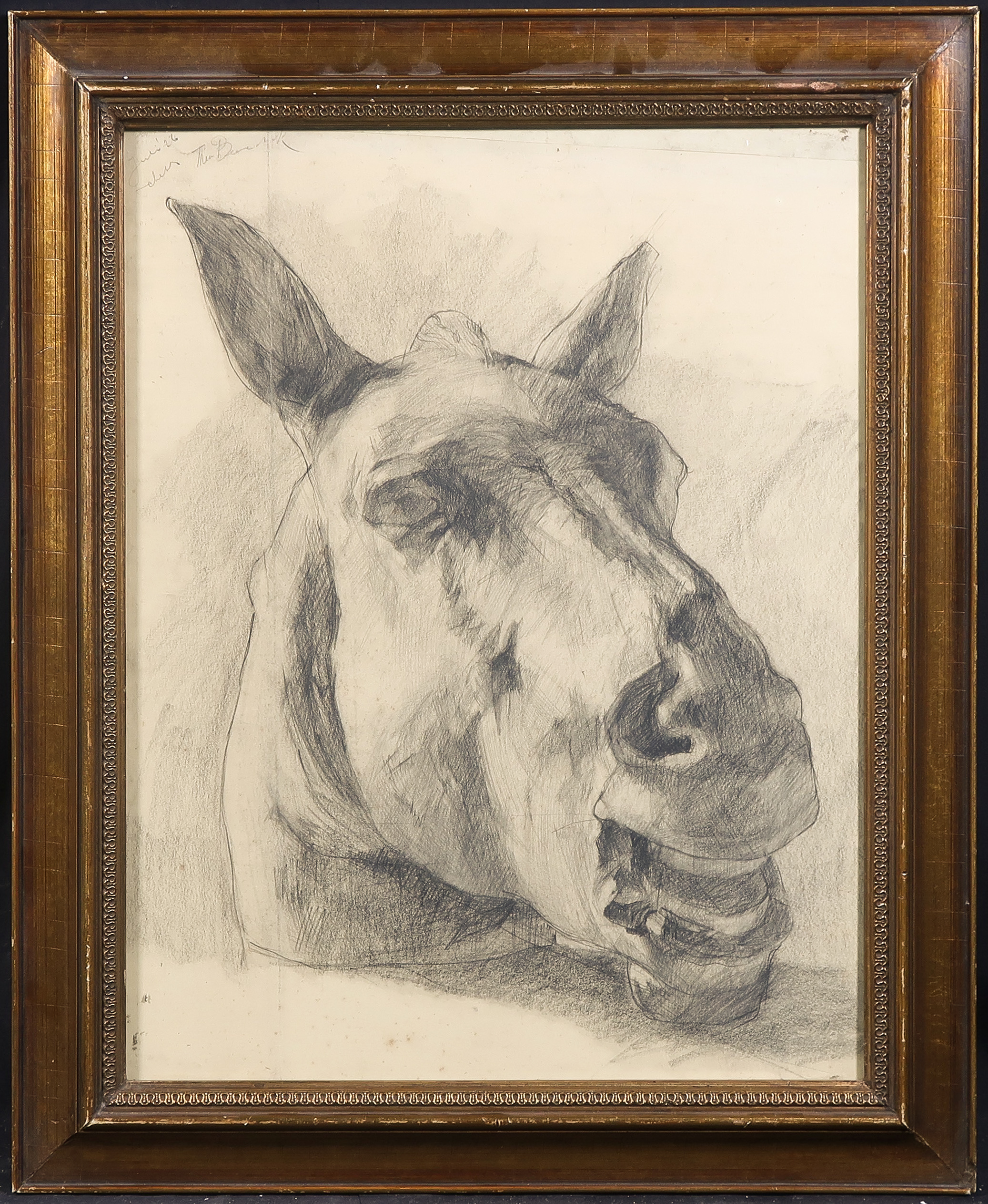 Theo Beerendonk - Potloodtekening, Paardenhoofd - Ingelijst verkocht voor € 50!
