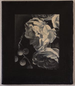 Mary Waters - zonder titel kopen? Bied vanaf 500!