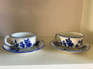 Steingutwerk VEB Torgau - Vintage kop en schotel blauw bloemenmotief kopen? Bied vanaf 29!