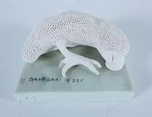 Kathja Smits - Porselein, Papegaai kopen? Bied vanaf 100!