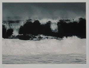 Rosemarie Trockel - der geteilte Gesang kopen? Bied vanaf 390!