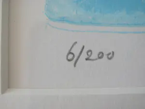 Raphael Hermans - vogel kopen? Bied vanaf 30!