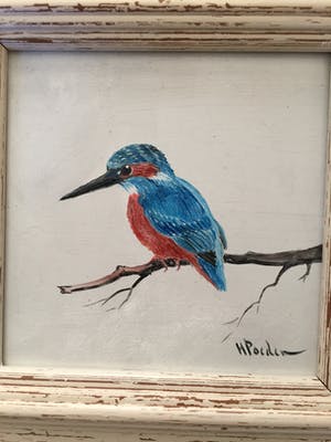 Henk Poeder - Ijsvogel kopen? Bied vanaf 75!