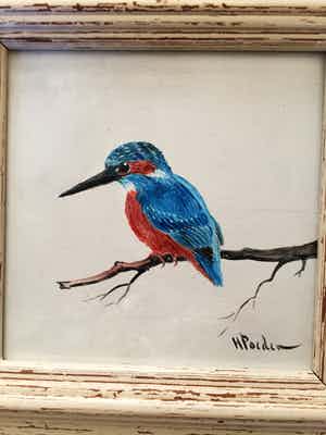 Henk Poeder - Ijsvogel verkocht voor € 75!