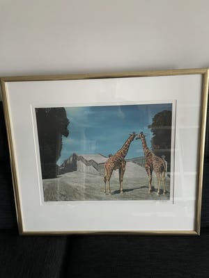 Carel Willink - Grote litho 'Twee Giraffen' kopen? Bied vanaf 210!