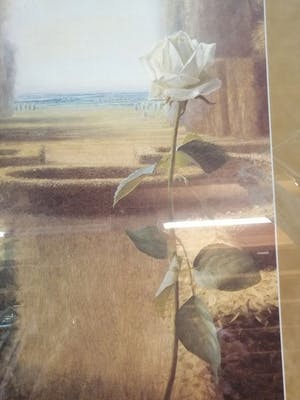 Ger Stallenberg - (1959) - Giclée Bloem kopen? Bied vanaf 1!