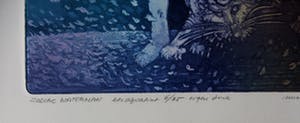 Michael Jepkes - Ets/aquatint - Zodiac Waterman kopen? Bied vanaf 49!