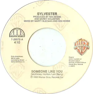 Sylvester - Sylvester - “Someone like you” - 7" vinyl kopen? Bied vanaf 1!