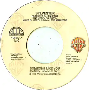 Sylvester - Sylvester - “Someone like you” - 7" vinyl verkauft für € 1!