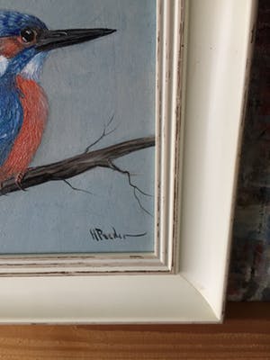 Henk Poeder - Vogel kopen? Bied vanaf 69!