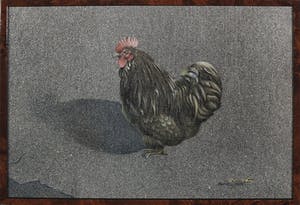 Wim Mast de Gooijer - Olieverf op board, Haan en kip - Ingelijst kopen? Bied vanaf 1!