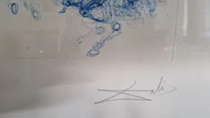 Salvador Dali - Bleus Cavaliers (Blaue Reiter) - Epreuvre d'Artist kopen? Bied vanaf 200!