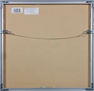 Kees Salentijn - Litho op papier, Vacos - Ingelijst kopen? Bied vanaf 50!