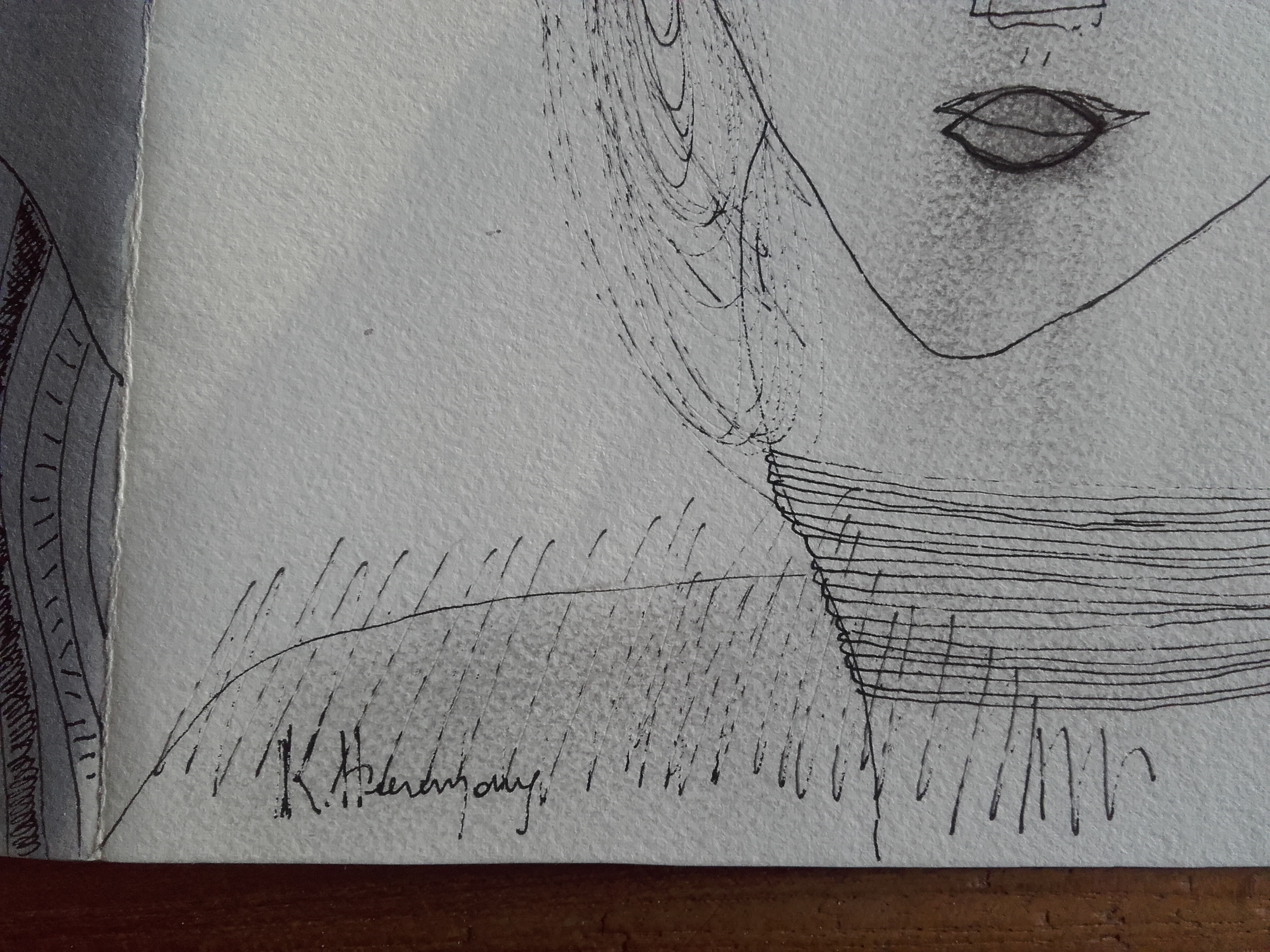 Karl Heeremans - les jumeaux kopen? Bied vanaf 2000!