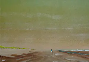 Franklin Meijer - Strand - Noord-Holland - Man met hond kopen? Bied vanaf 49!