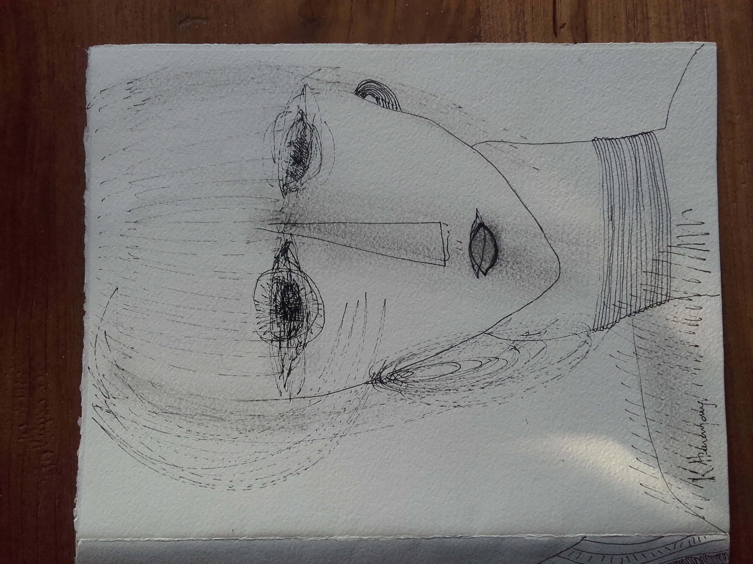 Karl Heeremans - les jumeaux kopen? Bied vanaf 2000!