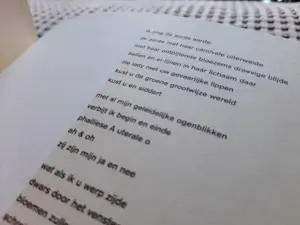 Lucebert - "honderd tekeningen - uit de collectie van F. van Lanschot Bankiers" kopen? Bied vanaf 50!